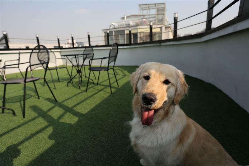 Easytrip Guesthouse Seul Dış mekan fotoğraf